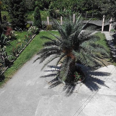 Guest House Vitali Gonio Εξωτερικό φωτογραφία