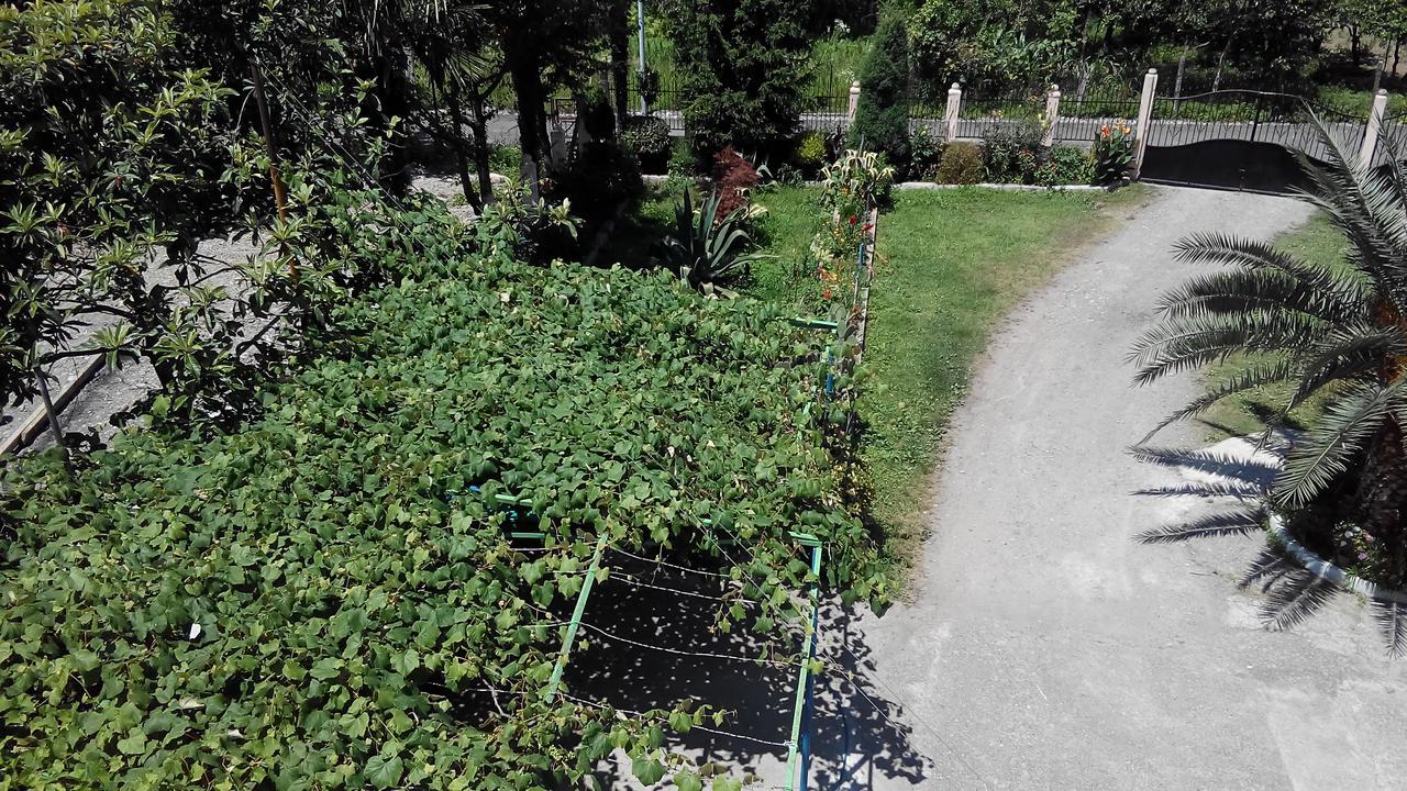 Guest House Vitali Gonio Εξωτερικό φωτογραφία